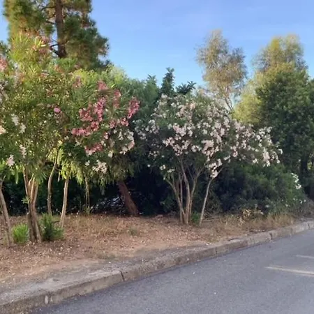 Benitike House Апартаменты